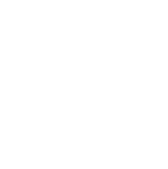 Seta
